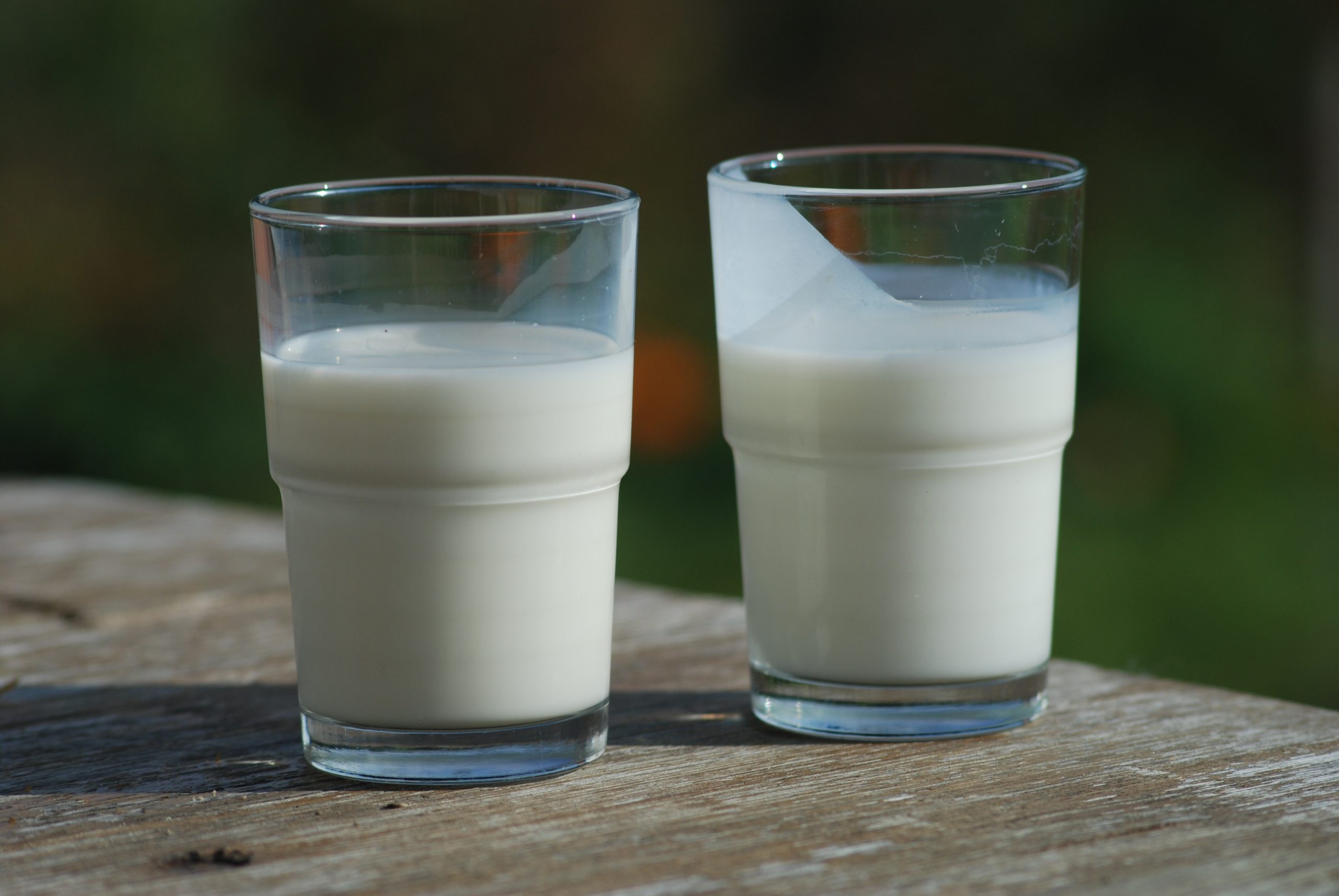 Buttermilk The Creamy, Tangy Secret of Southern and Global Cuisine