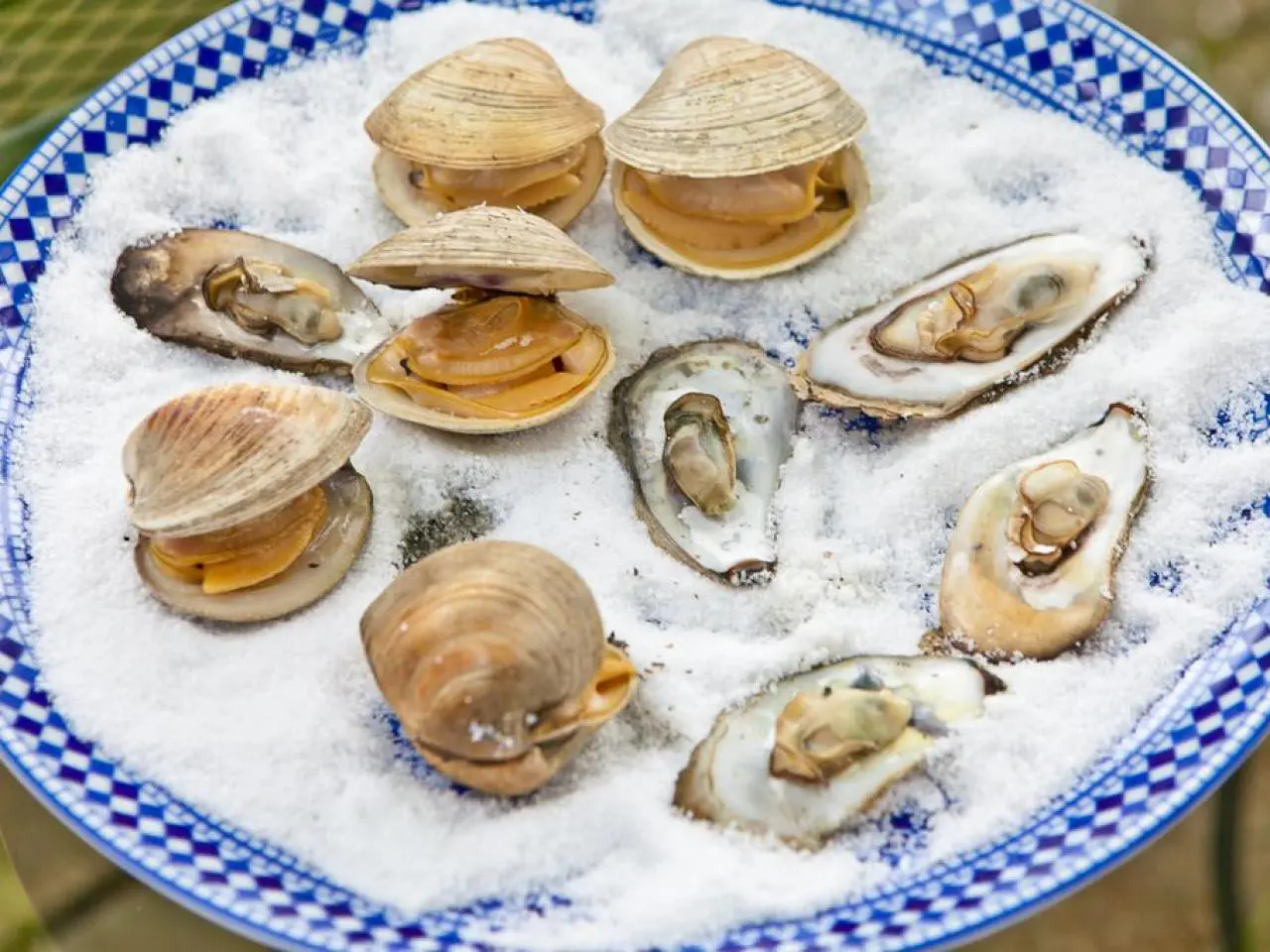 Clams A Versatile Bivalve