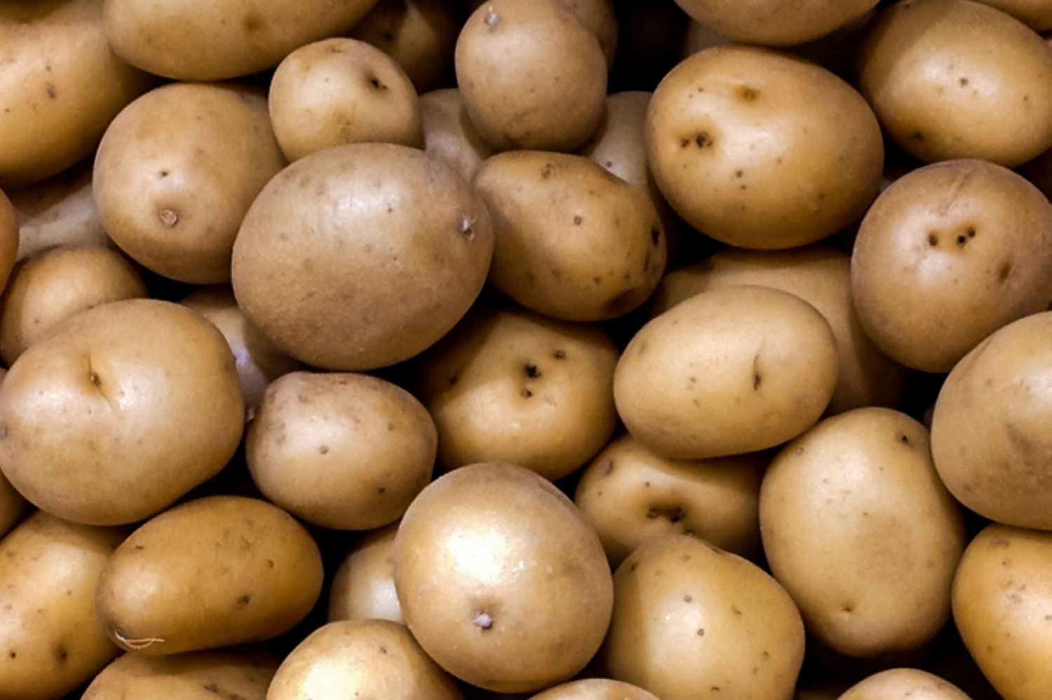 Potatoes The Versatile Tuber That Changed the World